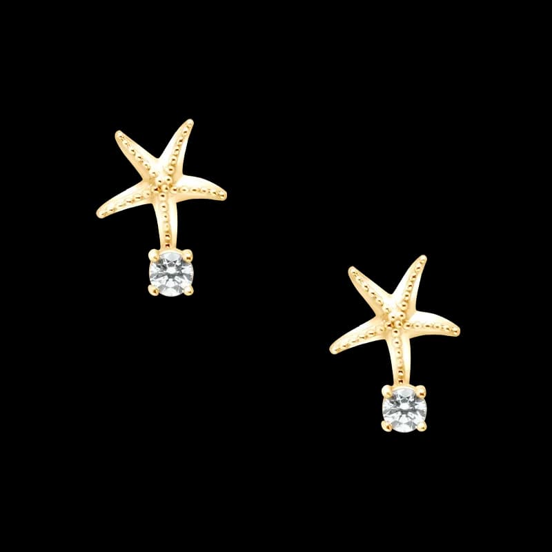 Anting Seaside Seastar