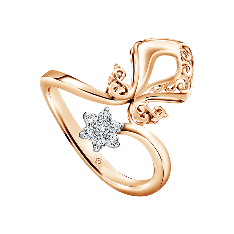 Cincin Nusantara Anta Aster
