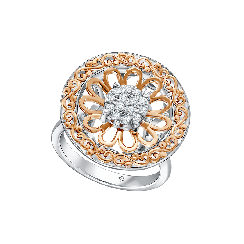 Cincin Nusantara Tara Biskus